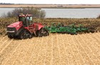 coulterchisel-corn-4.jpg