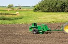 rock-picker-2.jpg