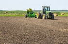 rock-picker-4.jpg